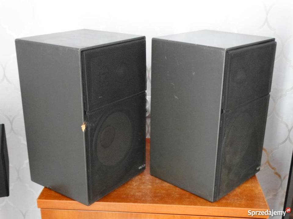 Monitor Wega Direct 2 Sony Vintage WYSYŁKA Jasło