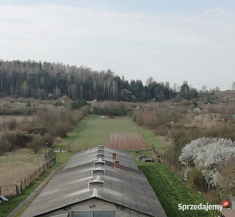 Działka Kielce Czarnów 37983m2 świętokrzyskie sprzedam