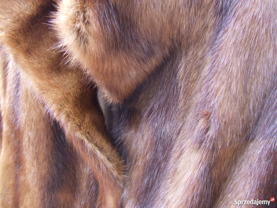 FUTRO Z OPOSA Mirków