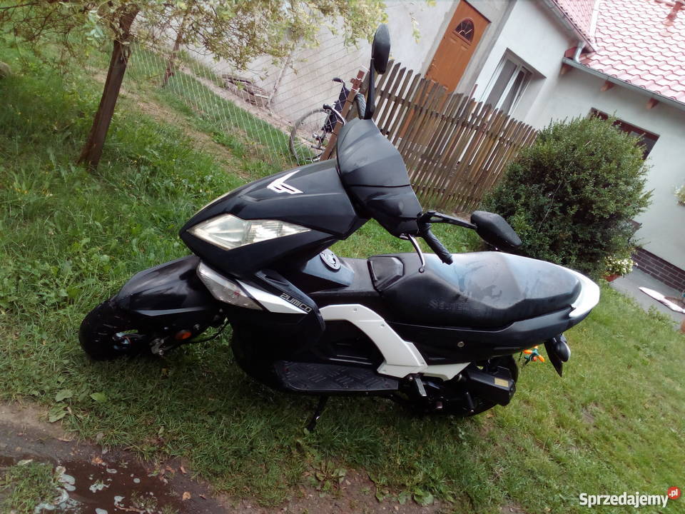 Zumico Avatar wielkopolskie