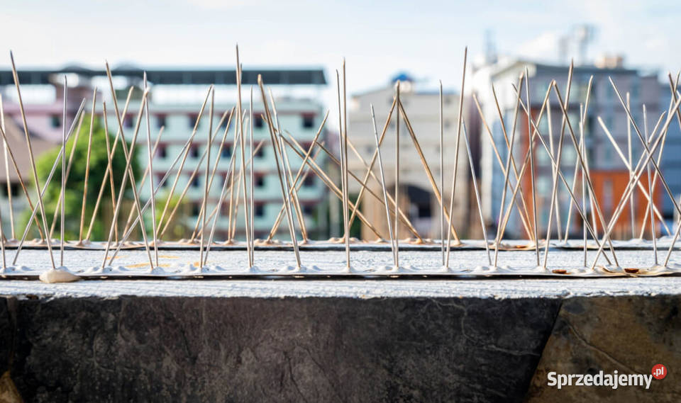 Montaż kolców przeciw gołębiom Bytom Montaż Pozostałe Ruda Śląska