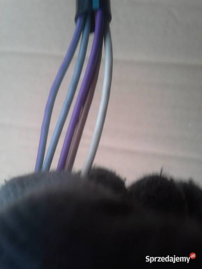 WV Passat B5 lusterko lewe LB7Ż Karoseria Dębno