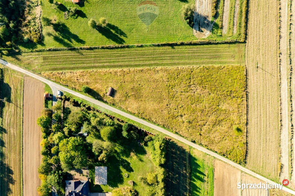 DZIAŁKA BUDOWLANA SKAŁA utwardzona małopolskie Skała