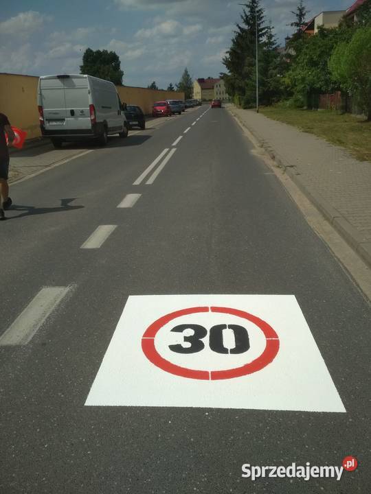 Oznakowanie pionowe dróg Toruń