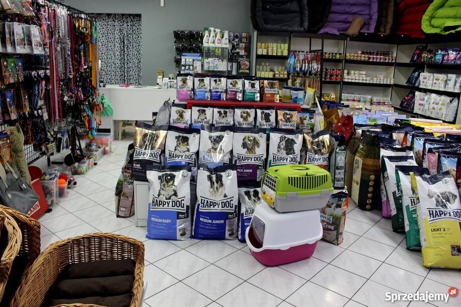 BURUNDUK WIEWIÓRKA SYBERYJSKA Tamias sibiricus Piła sprzedam