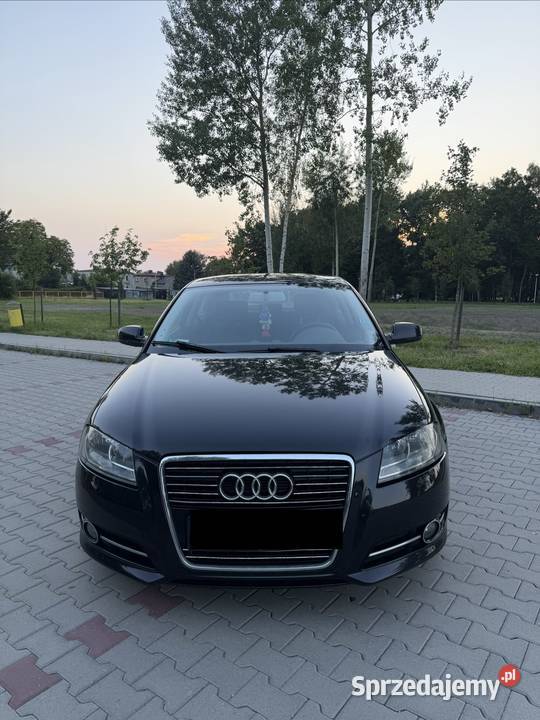 Audi a3 8p 16 TDI COMMON RAIL LIFT śląskie Orzesze
