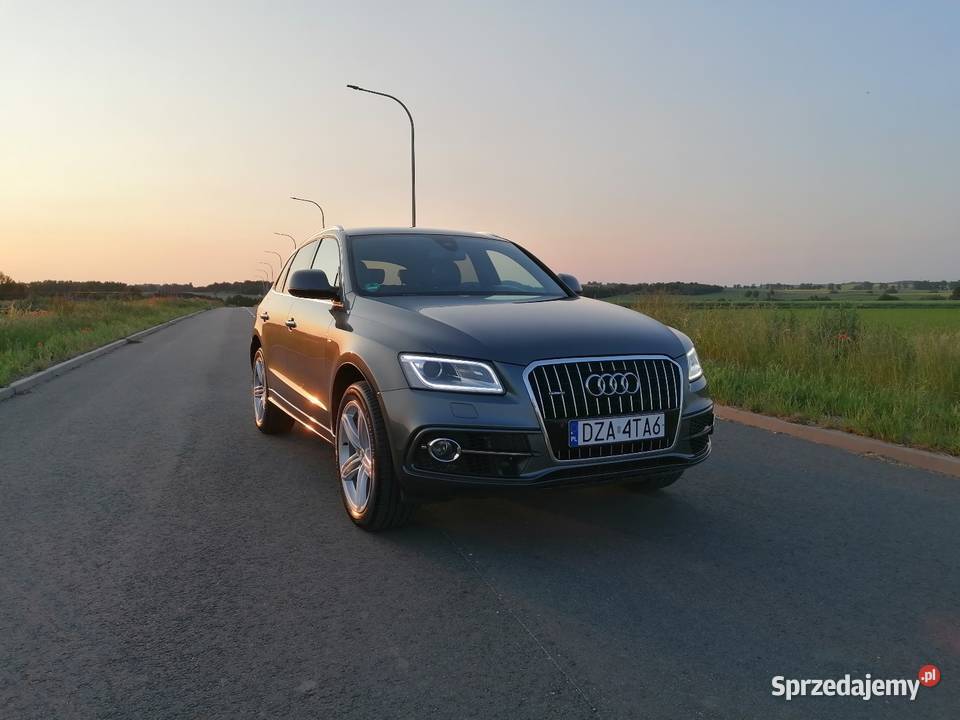 Audi Q5 QUATTRO Radar Asystent Navi Xenon Led