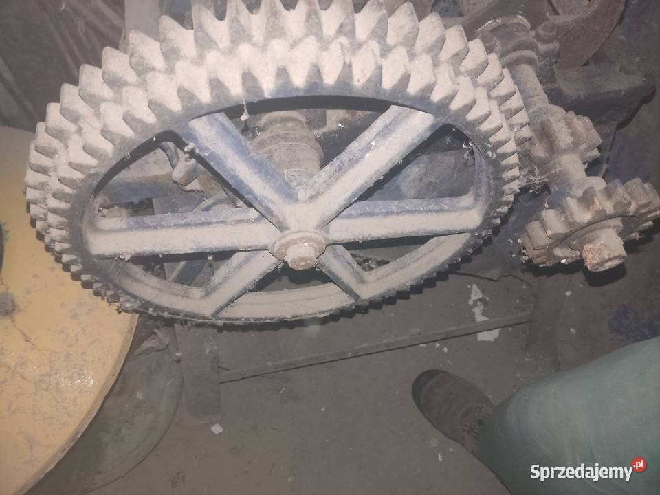 Sprzedam parnik i sieczkarnie nieuszkodzony