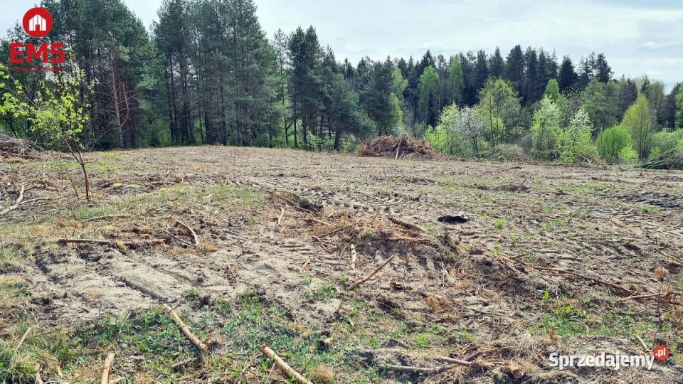 sprzedaży działki Ciasne 2984m 42m podlaskie
