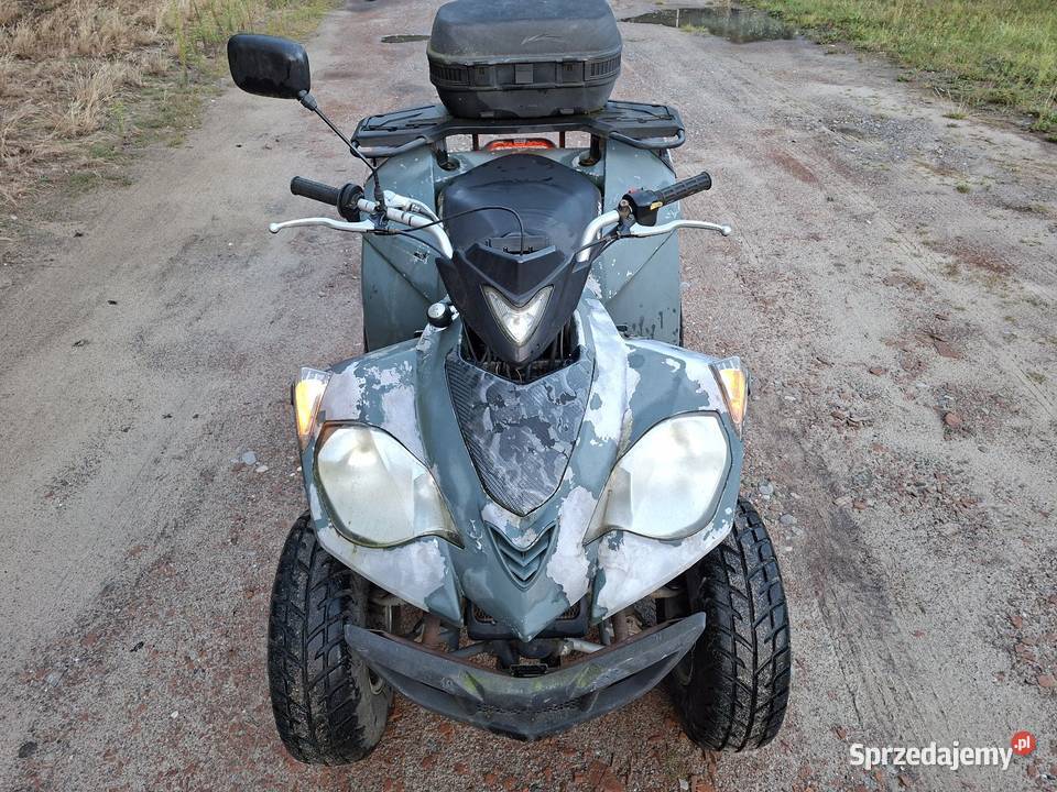 Quad Eton 250 Automat z wsteczny