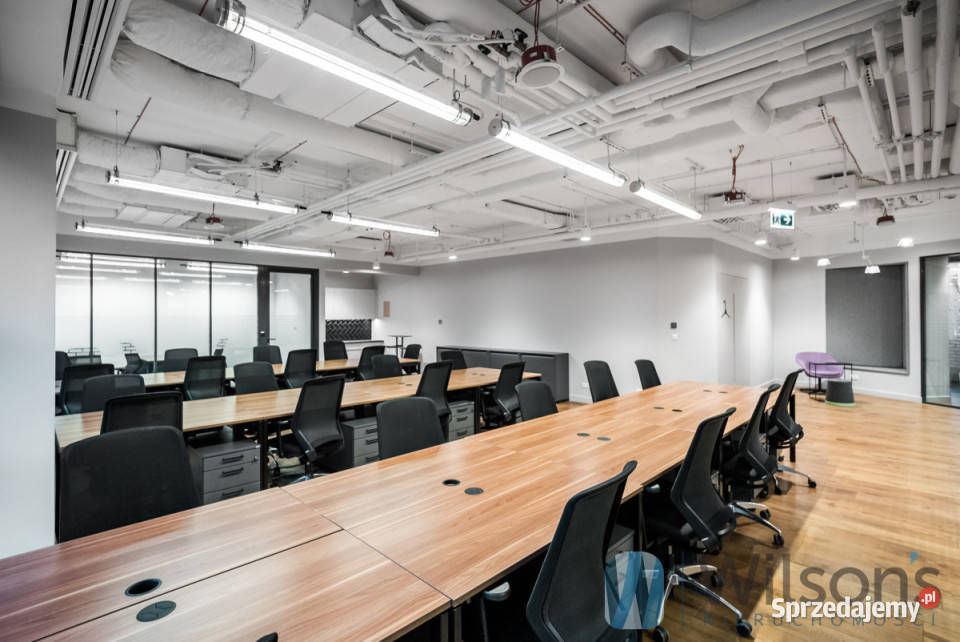 wynajmu lokalu Warszawa 30m2 Wynajem sprzedam