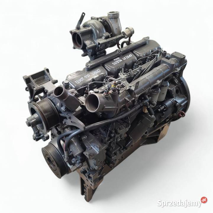 MAN D0836 LE 510 Wilkowo