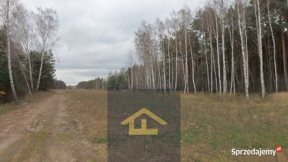 Działka budowlana w gminie Wiazowna asfalt mazowieckie