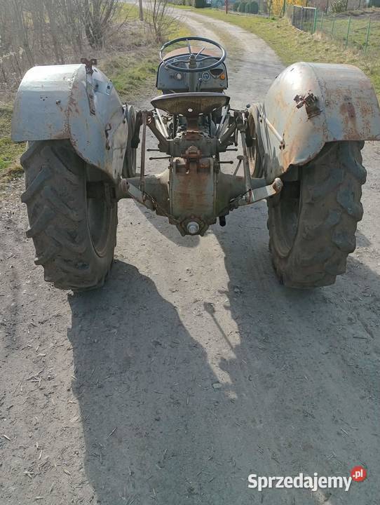 Sprzedam Fergusona TED 20 Ferguson Rolnictwo Gniezno