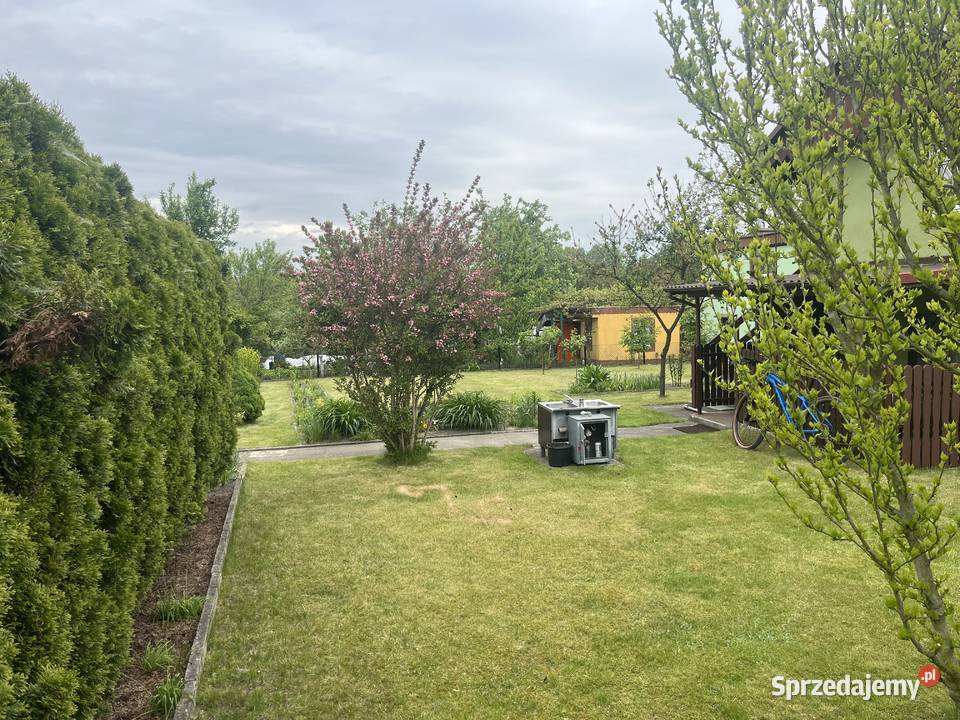 Działka 42ara ROD KłapczykaŻory