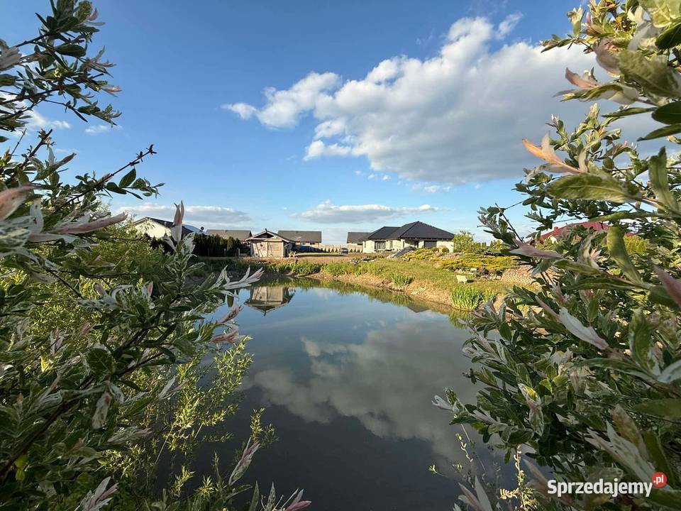 Dom jednorodzinny ze stawem na dużej działce Skoki