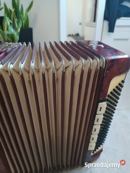 Akordeon weltmeister 120 Ropczyce