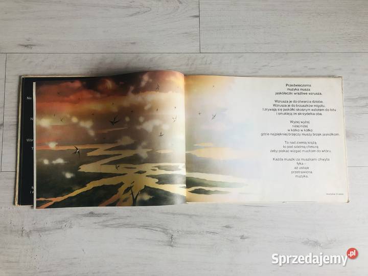 Książka Zagapienie Joanna Kulmowa Książki dla dzieci łódzkie Łódź