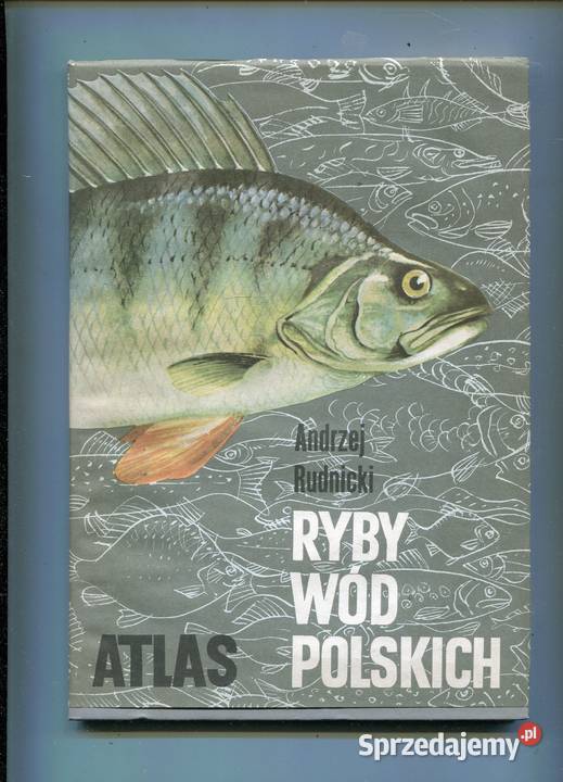 Ryby wód polskich Atlas Andrzej Rudnicki Pozostałe Szczecin