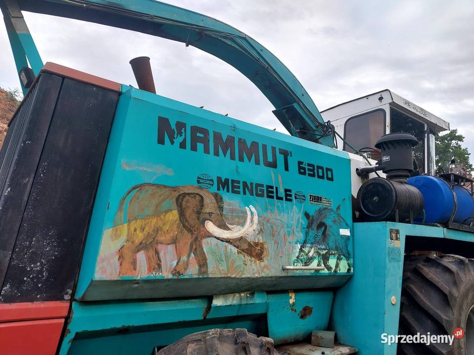 Sieczkarnia do kukurydzy Mengele Mammut Case nie Samojezdne sprzedam