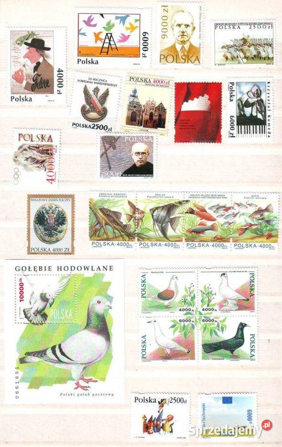 Zn Fi wykaz w opisie 1994 Gliwice