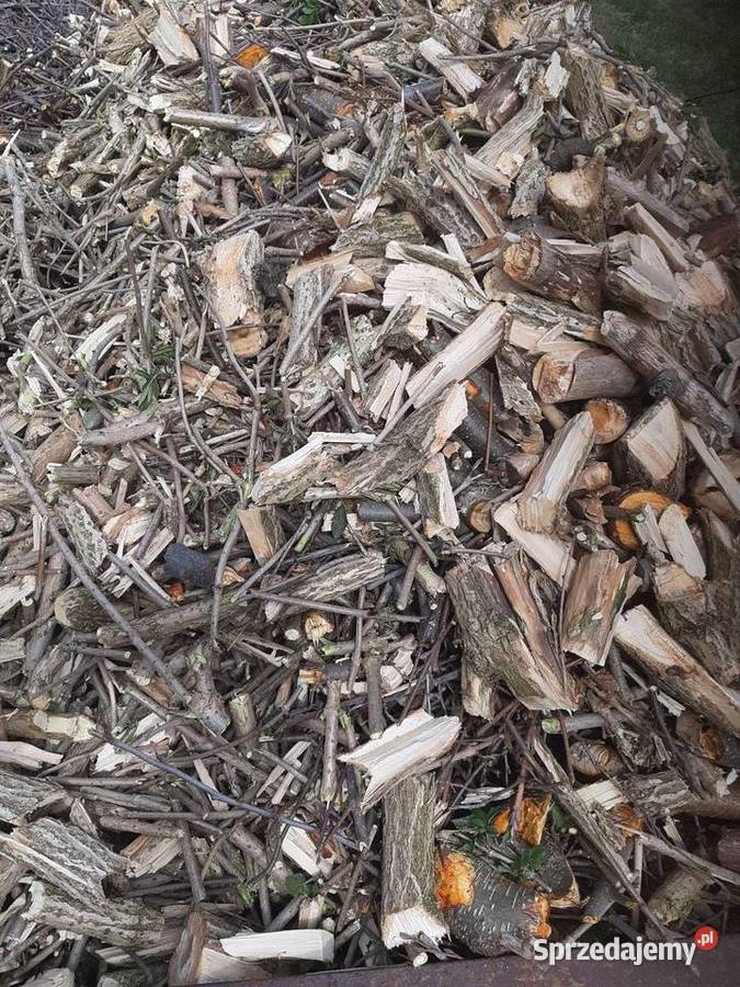 Zrębki drzewne łódzkie Borszewice Kościelne