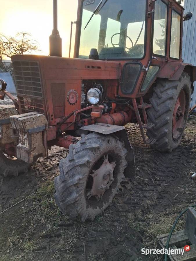 Mtz belarus 82 4x4 wielkopolskie