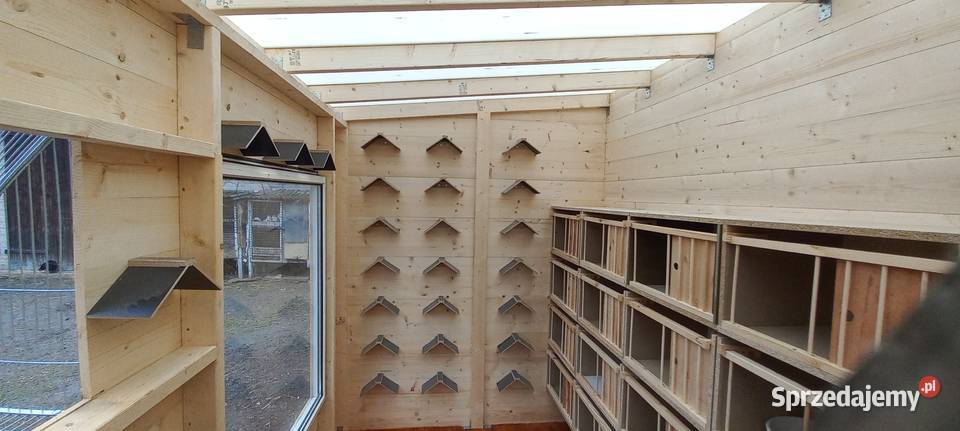 Gołebnik sprzedam