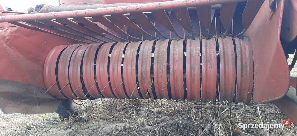 Prasa kostkująca Massey Ferguson Kostkujące warmińsko-mazurskie