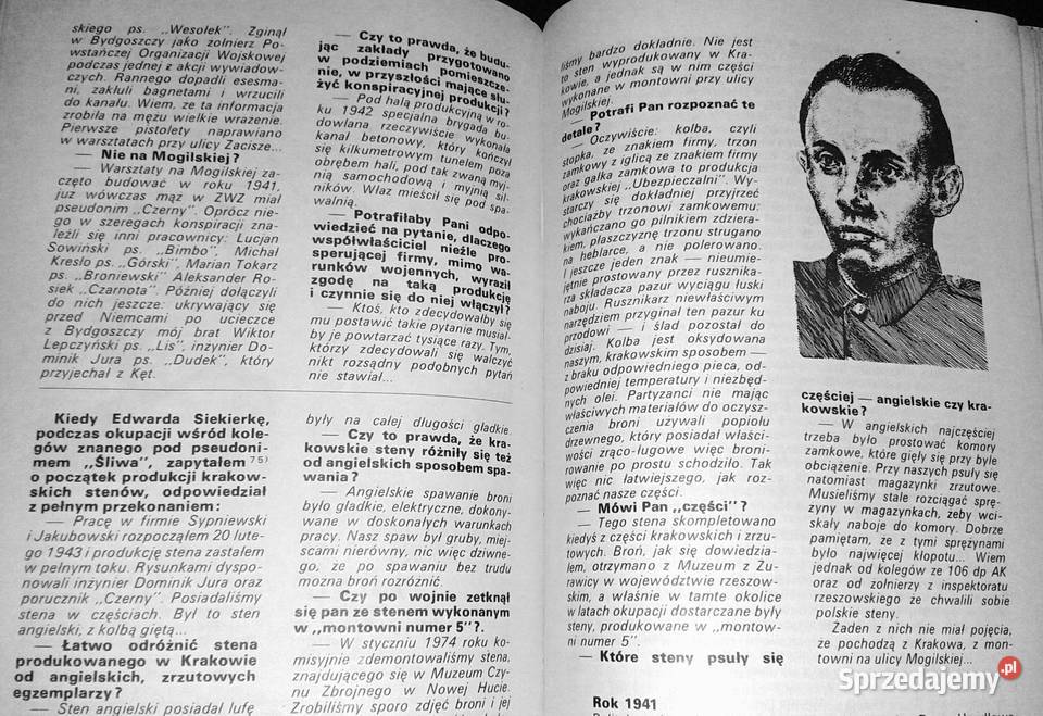 Steny biją celnie Stanisław Maria Jankowski Rok wydania 1983 Chełm sprzedam