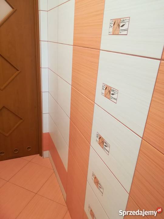 Sprzedam mieszkanie w bloku Karolew gm Borek wielkopolskie Borek Wielkopolski