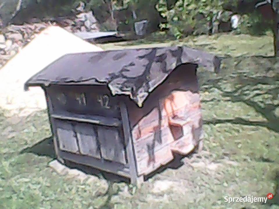 pszczeli mazowieckie Osówka