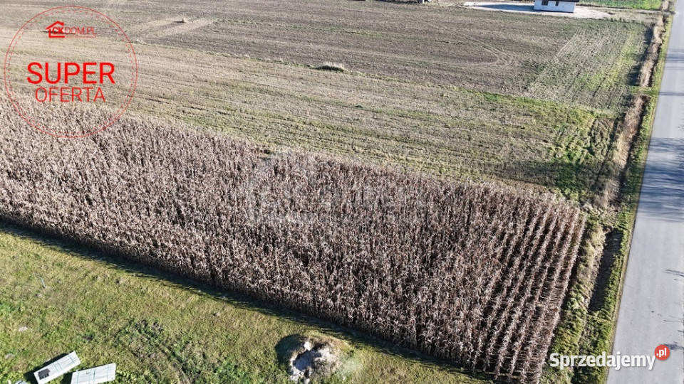 Wyjątkowa działka budowlana 1571 m Sielec