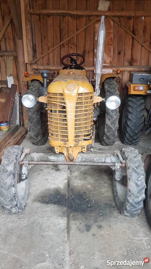 Ciągnik Zetor K25 silnik C330 Zetor Ciągniki Skłoby