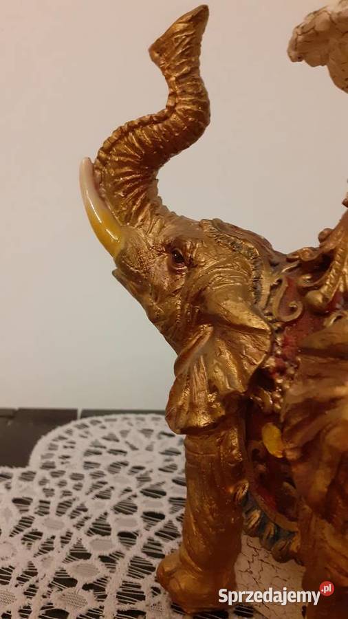 Słoń świecznik Szczecin