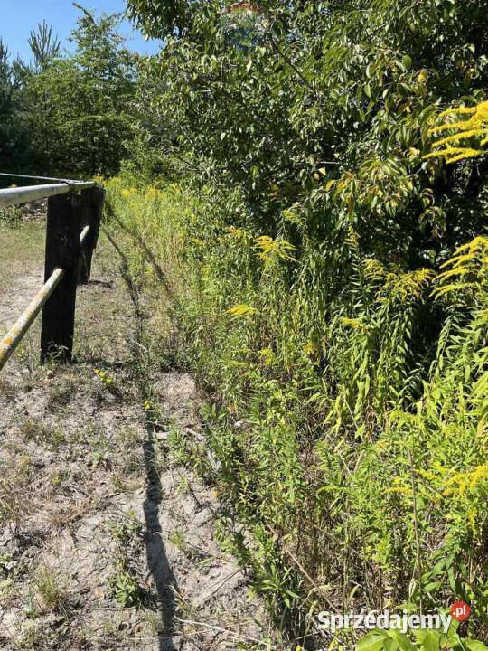 Działka jeszcze rolna rezerwacie Łoś