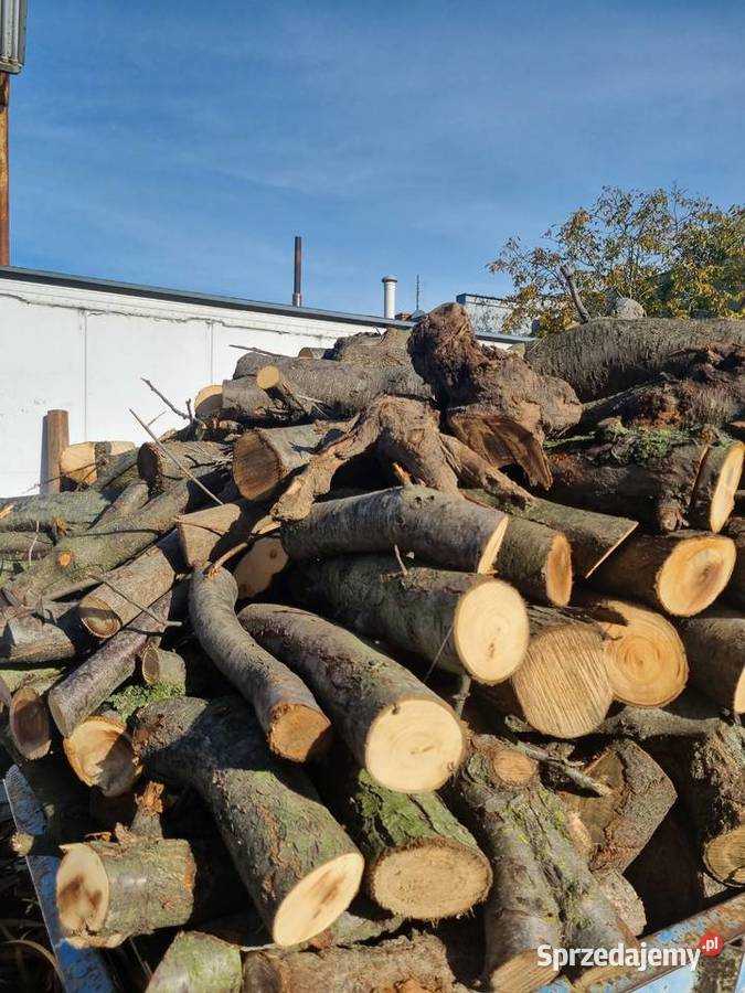 Drewno opałowe w 200 m3 PROMOCJA Brzeźno
