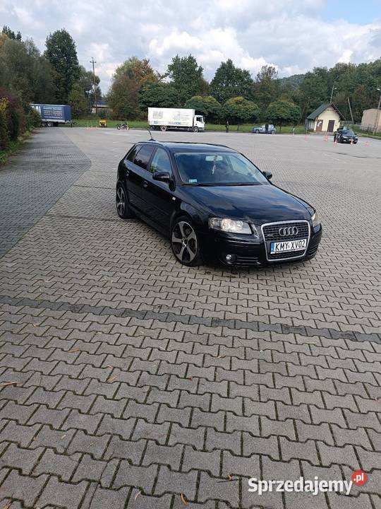 AUDI A3 8P Qulatro 20TDI 170 manualna Harbutowice