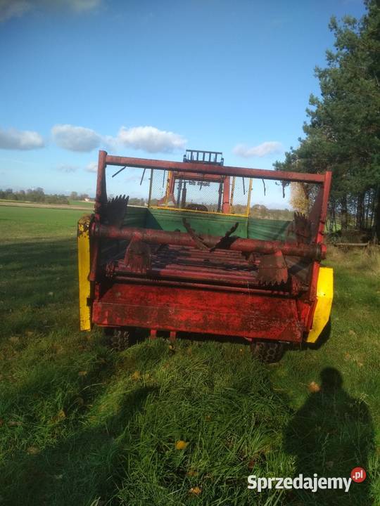 Rozrzutnik Czarnabiałostocka stan idealny Złoczew