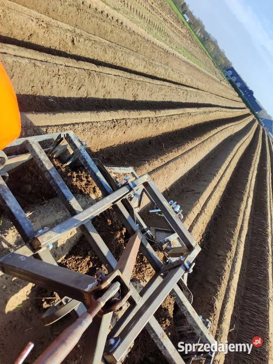 Formownica do ziemniaków nieuszkodzony Dąbrowa Tarnowska