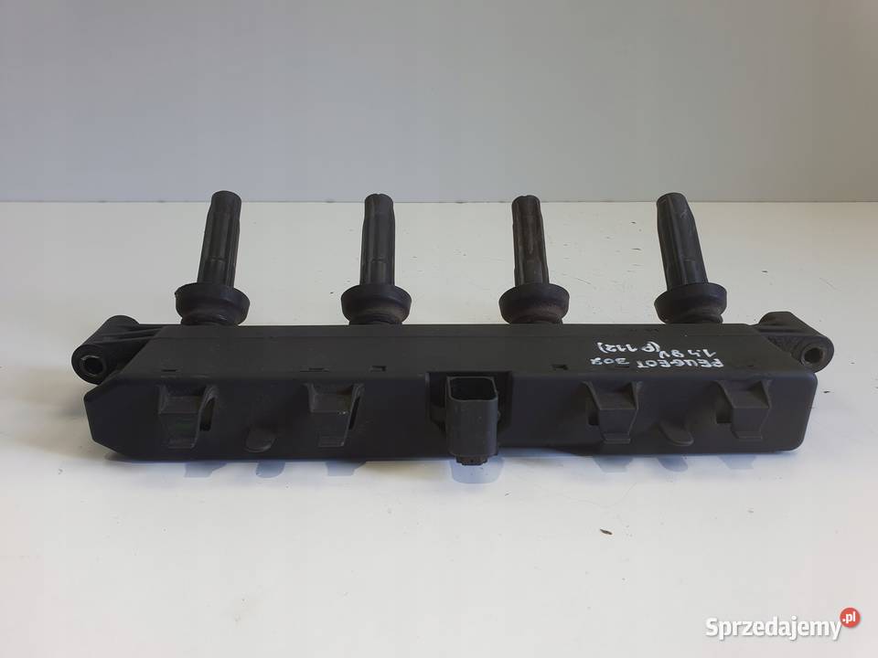 CEWKA ZAPŁONOWA Peugeot 307 14 8V 9654814480 lubelskie Chełm