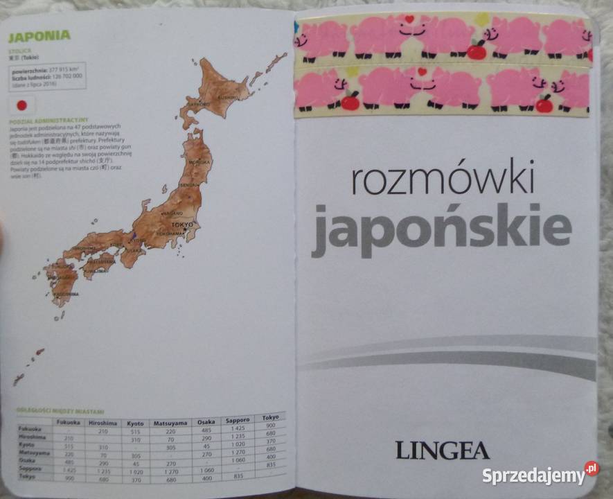 Rozmówki japońskie ze słownikiem i gramatyką Warszawa