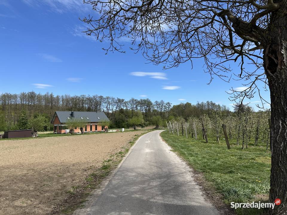 Działka z warunkami zabudowy 26zł/m2 Sandomierz