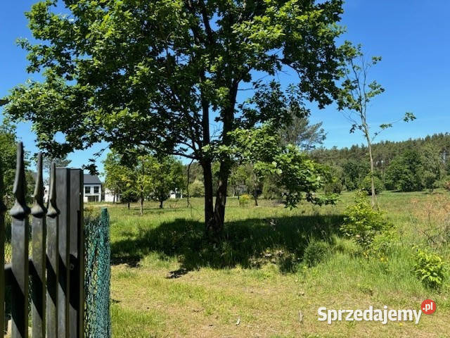 Super Działka Rozewie sprzedam