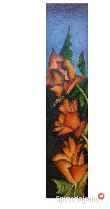 Kopalniane Róże Jarosław sprzedam