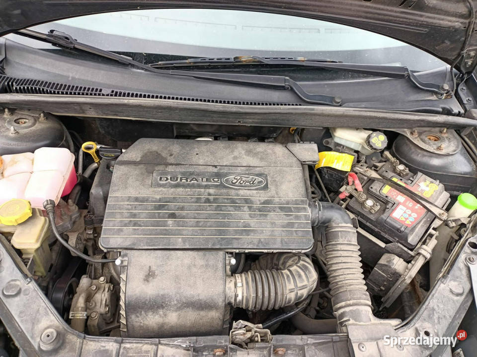 Ford Fiesta Ford Fiesta 13 05r Mk6 20022008 małopolskie Tarnów sprzedam