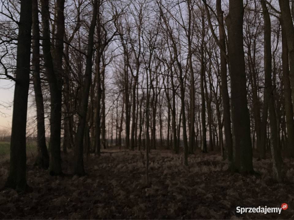 Malownicza działka budowlana kształt kwadratu 4 Kalej
