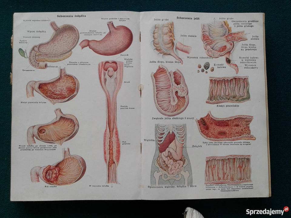 NOWE LECZNICTWO PRZYRODNICZE wielkopolskie Leszno
