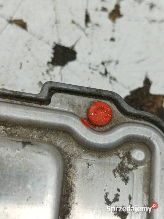 STEROWNIK SILNIKA 0281016965 51889891 20 D 134