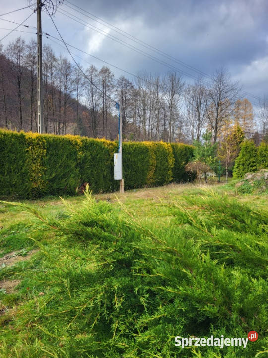działka Rumiankowa śląskie Jaworze sprzedam